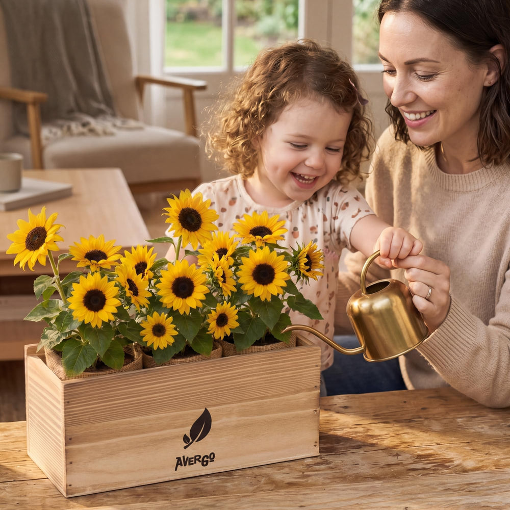 AVERGO planted kit on kitchen counter showing decorative indoor display benefit