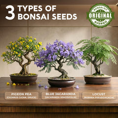 AVERGO labeled seed packets displayed to boost planting success