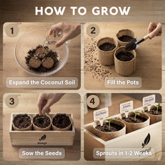 AVERGO seed packets close-up displaying seed variety and easy planting instructions