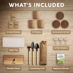 AVERGO seed packets close-up highlighting variety and clear labeling benefit