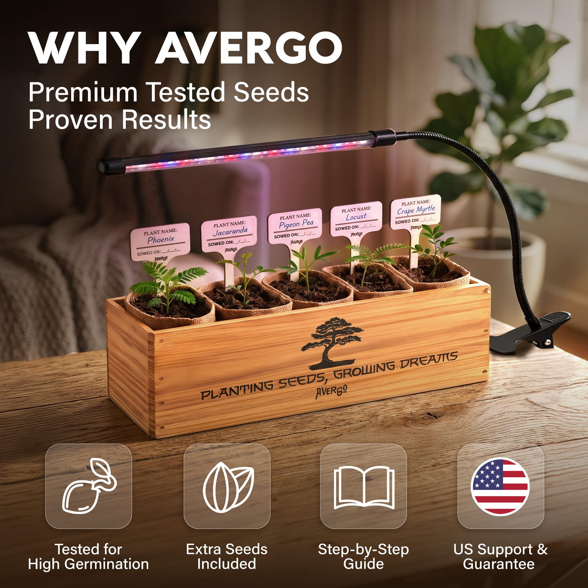 AVERGO seedlings close-up showing healthy early sprouts