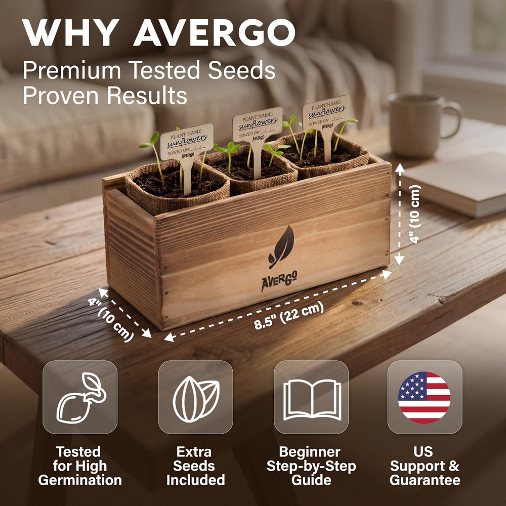 AVERGO seedlings on a windowsill demonstrating healthy early growth benefit