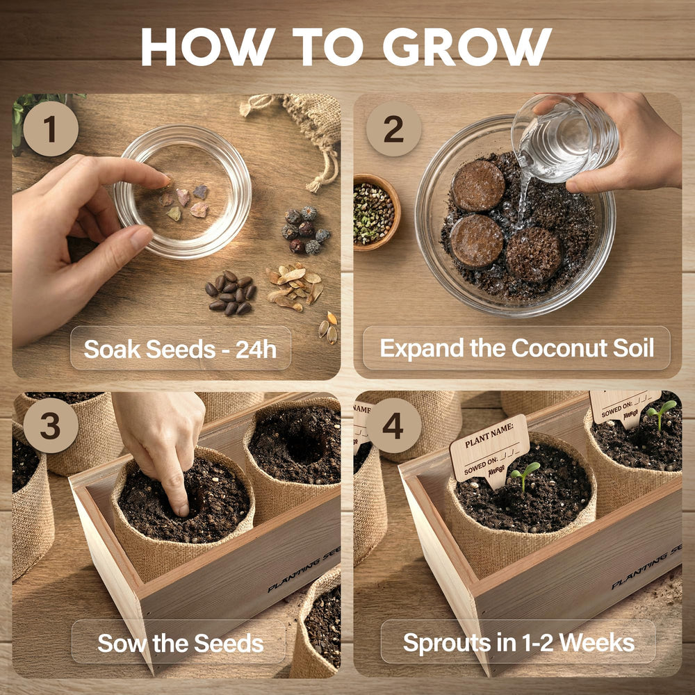 AVERGO beginner bonsai tools laid out for easy starter use
