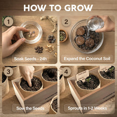 AVERGO beginner bonsai tools laid out for easy starter use