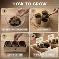 AVERGO wooden box open to display seeds, planters, and tools for organized storage