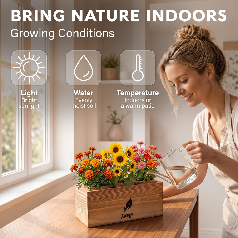 AVERGO wooden box open with components neatly stored for convenient organization