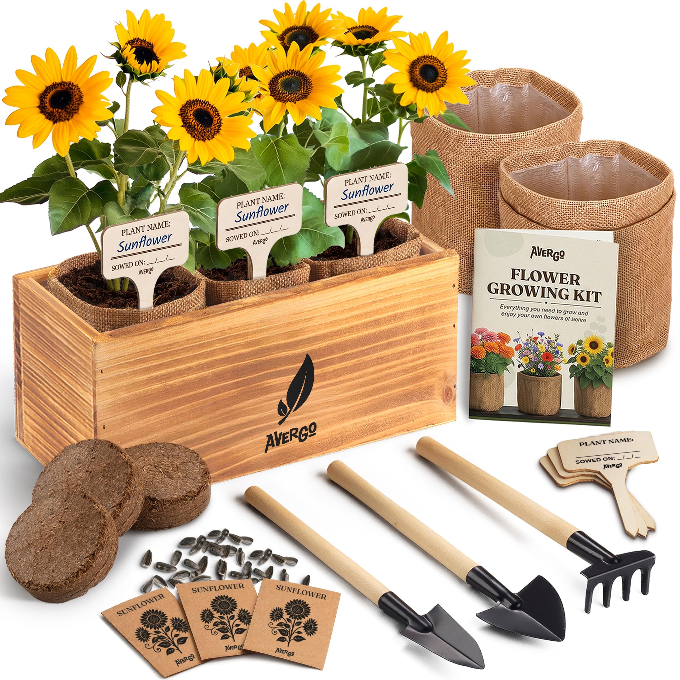 AVERGO wooden box showing organized kit and neat storage benefit
