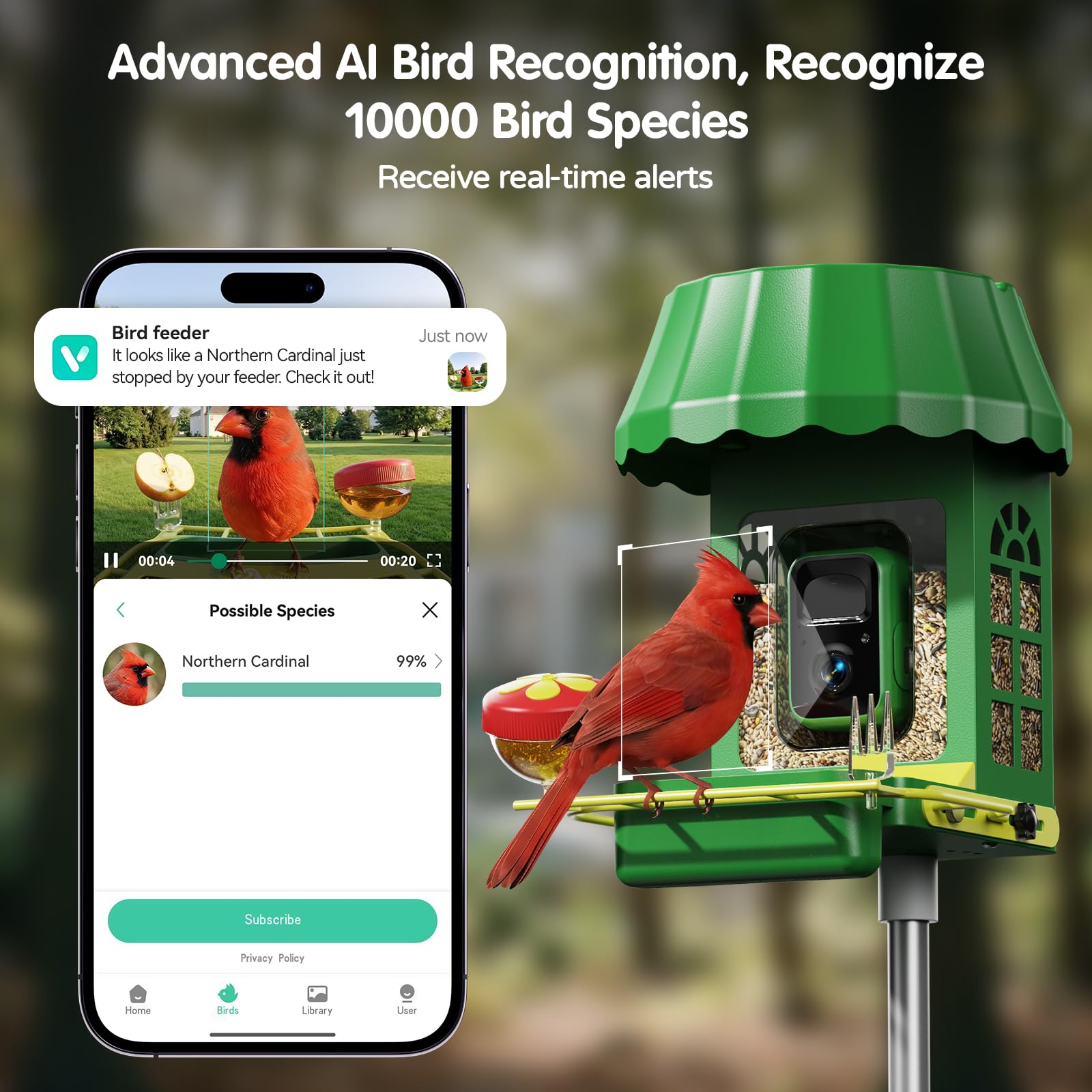 Avinory mounted on tree showing outdoor placement and viewing benefit