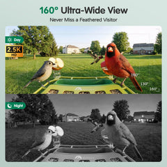 Avinory night vision scene showing clear nocturnal viewing benefit