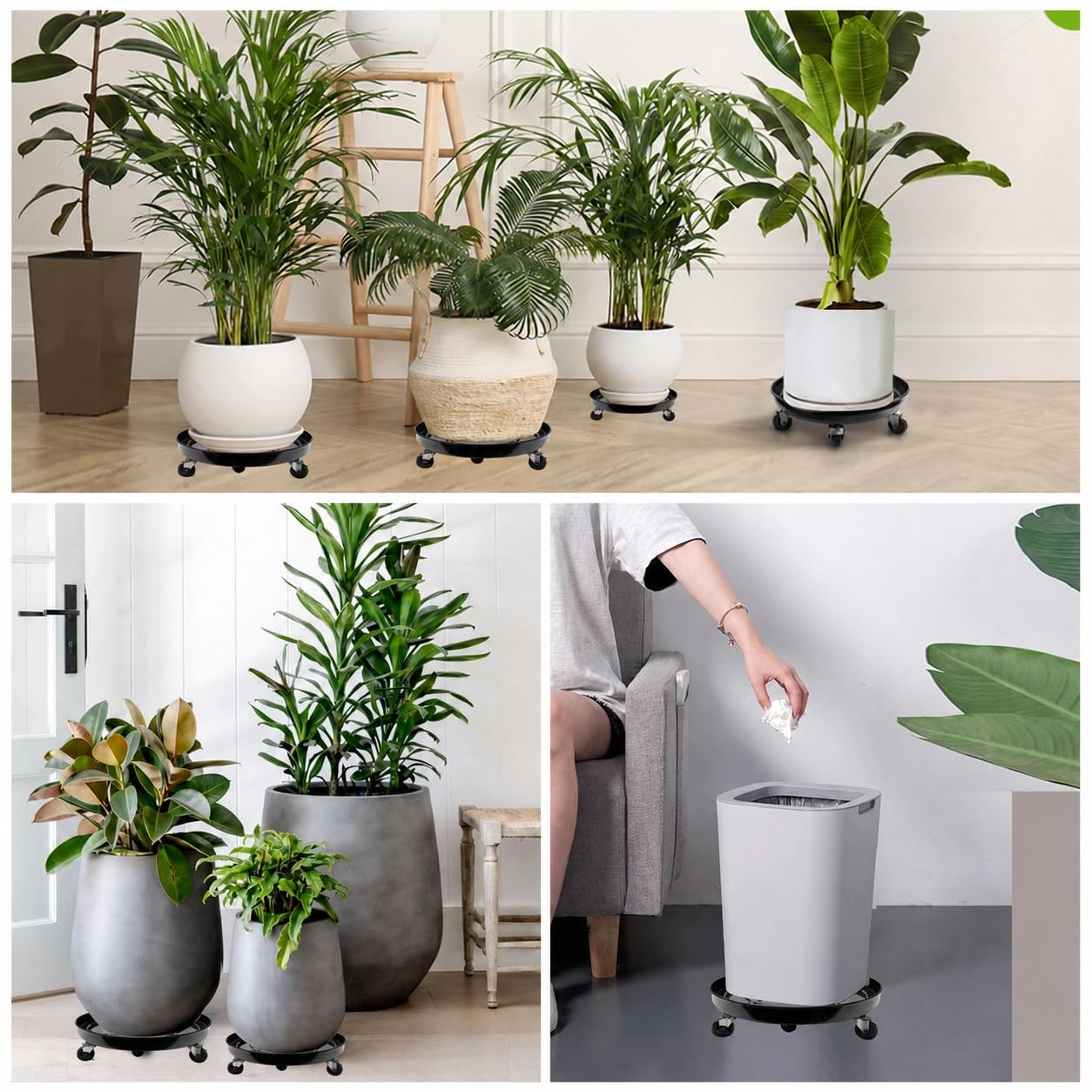 AyaLight size comparison with common pot to show fit and scale, clear sizing guide