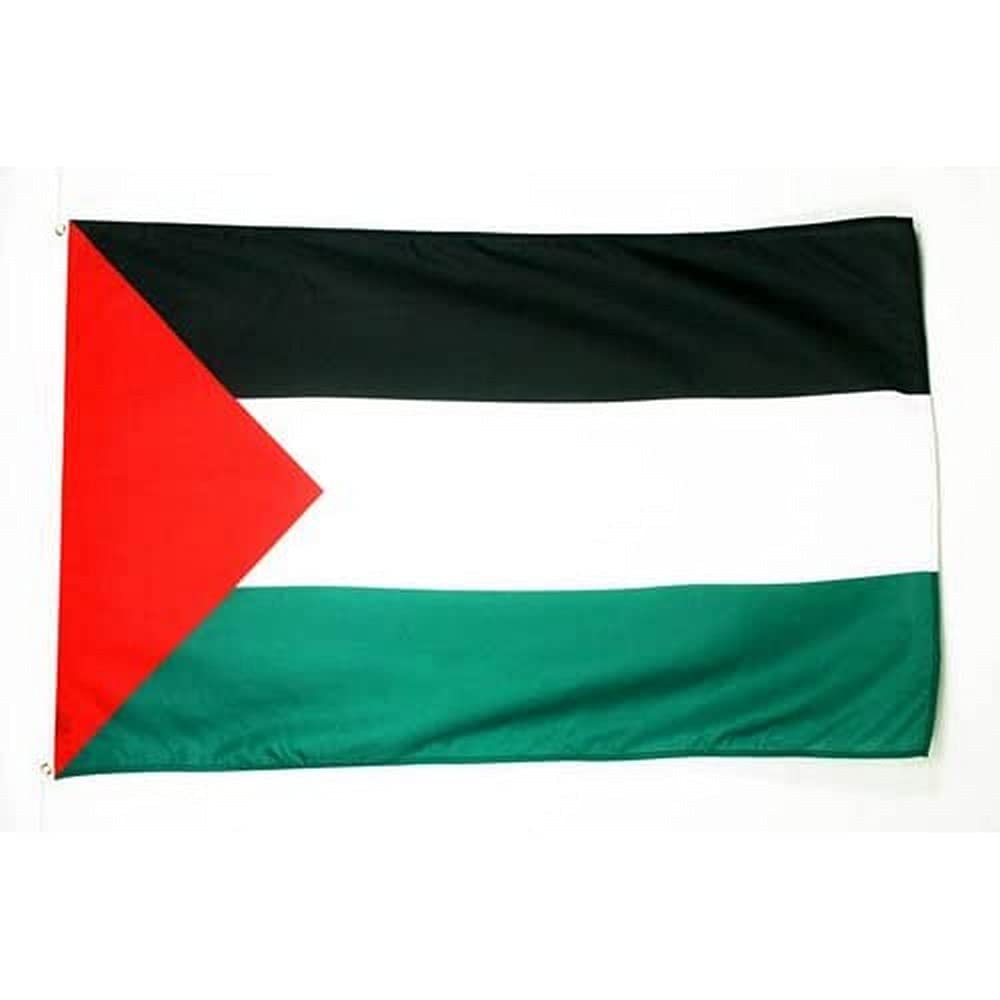 AZ FLAG Palestine flag mounted on flagpole demonstrating easy outdoor installation