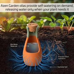 Azen Garden in-pot demonstration showing stable root hydration benefit
