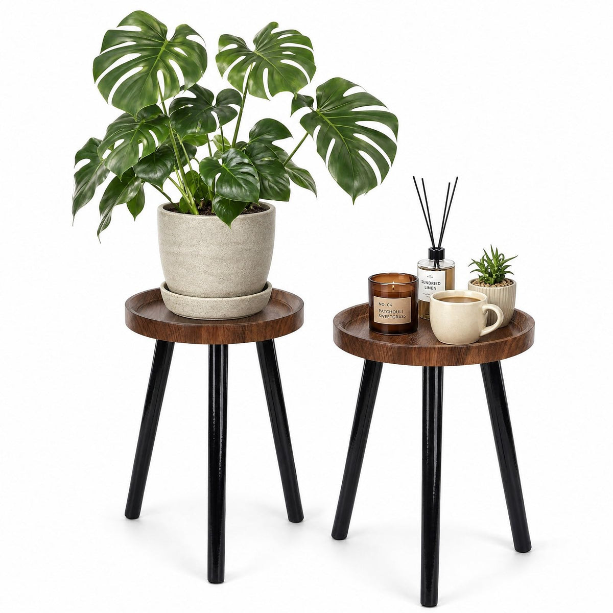 B BAMBERG front view walnut stand showcasing plants and tidy display benefit