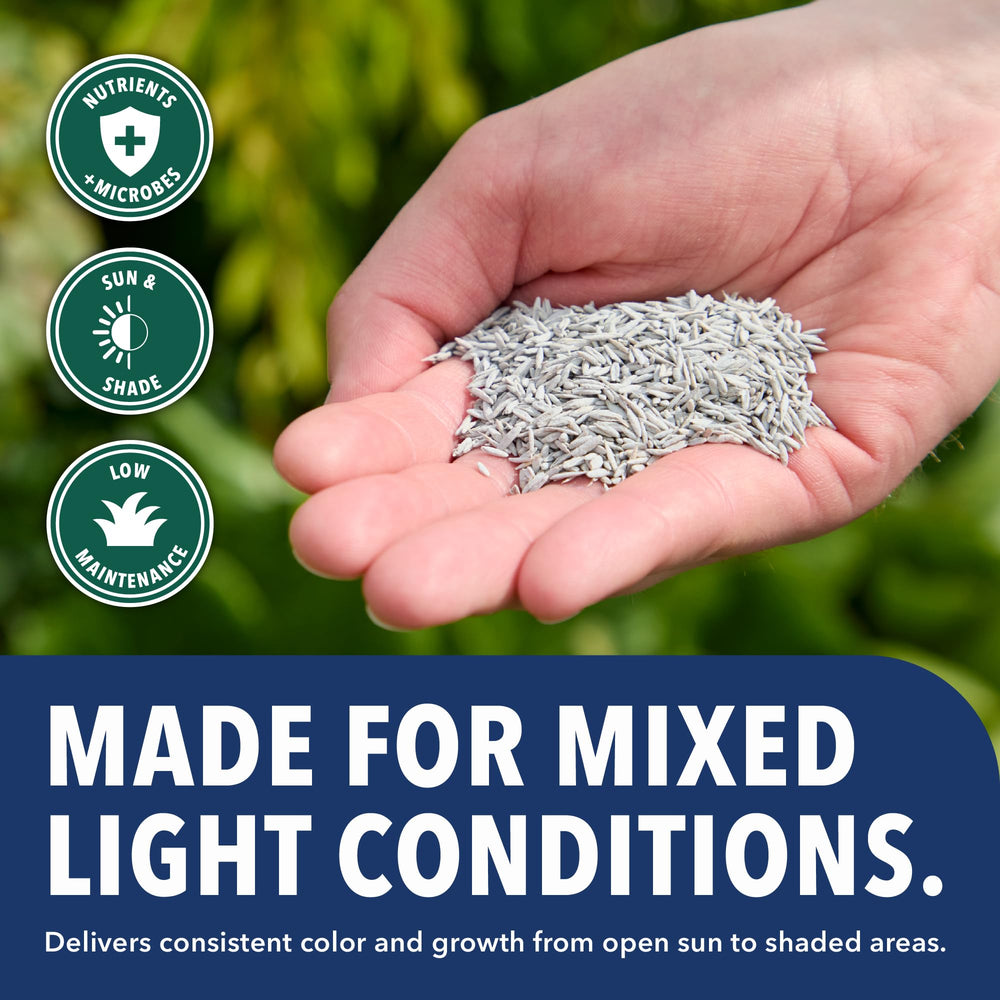 B&G seeded lawn in sun demonstrating quick coverage and uniform growth benefit