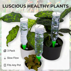 BabaBerry bottle top view with removable large cap for fast refilling and cleaning convenience