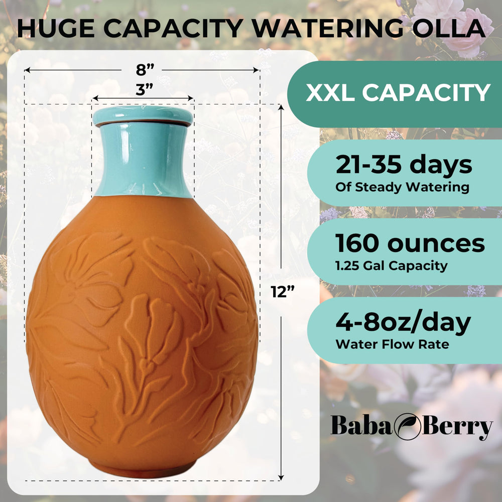 BabaBerry buried olla in raised bed delivering water directly to roots benefit