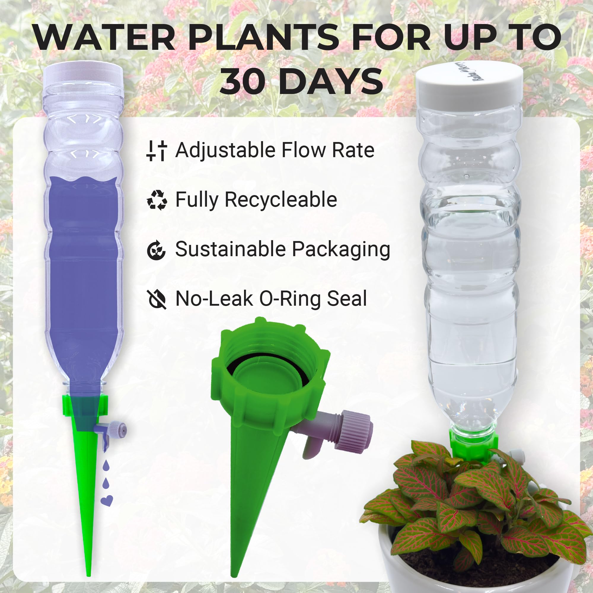 BabaBerry beside a ruler to show 20oz bottle scale and correct size for planters