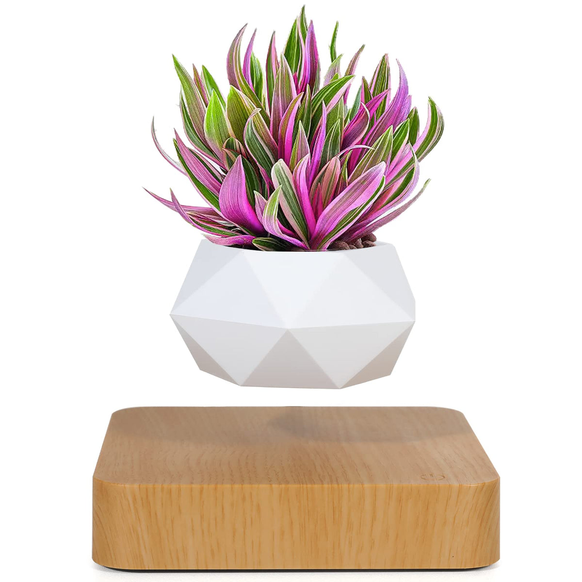 Babook front view of levitating pot showing floating planter and clean design benefit