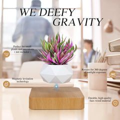 Babook in use on desk with succulent demonstrating calming rotating display benefit