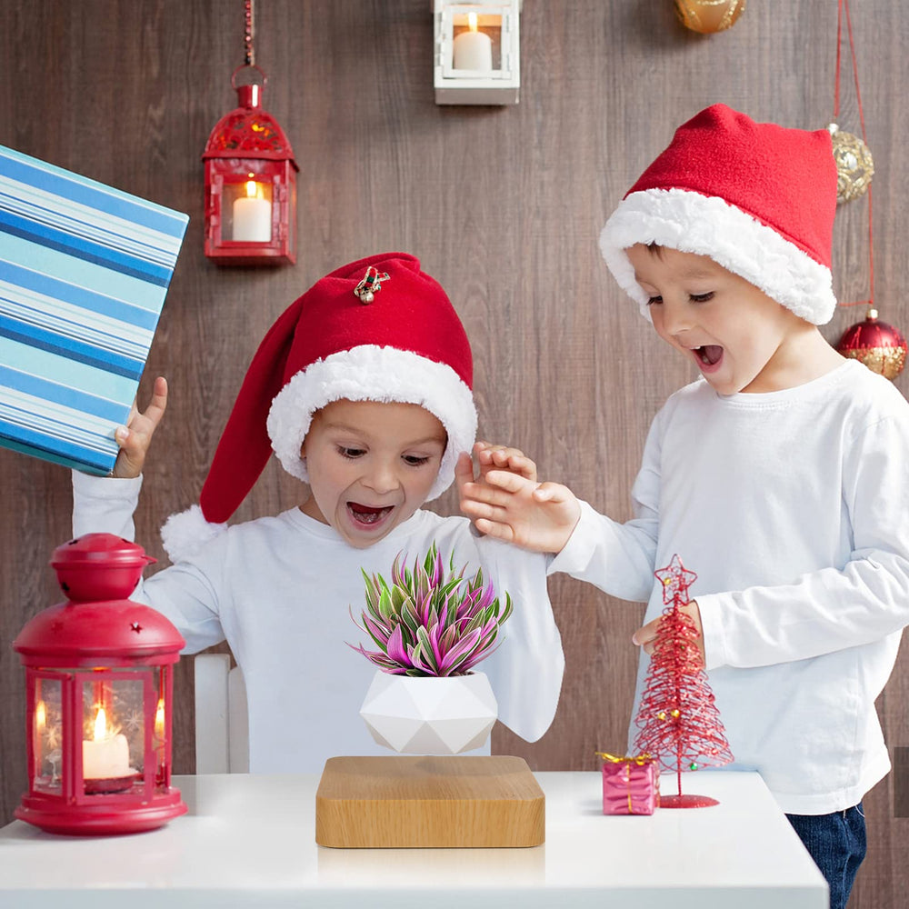 Babook lifestyle display on shelf showing stylish decor and conversation-starting benefit