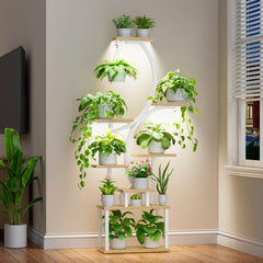 BACEKOLL front view corner shelf showcasing vertical plant display and space savings