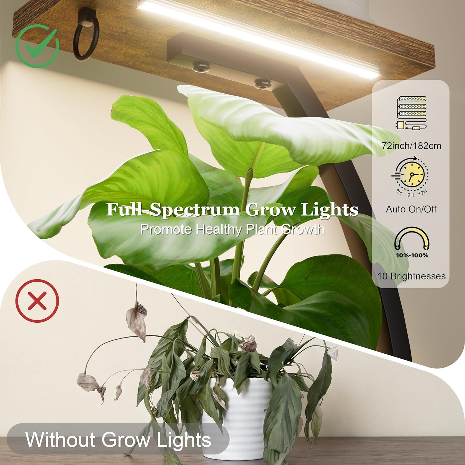 BACEKOLL dual-head full-spectrum grow lights illuminated providing balanced supplemental light for multiple plants