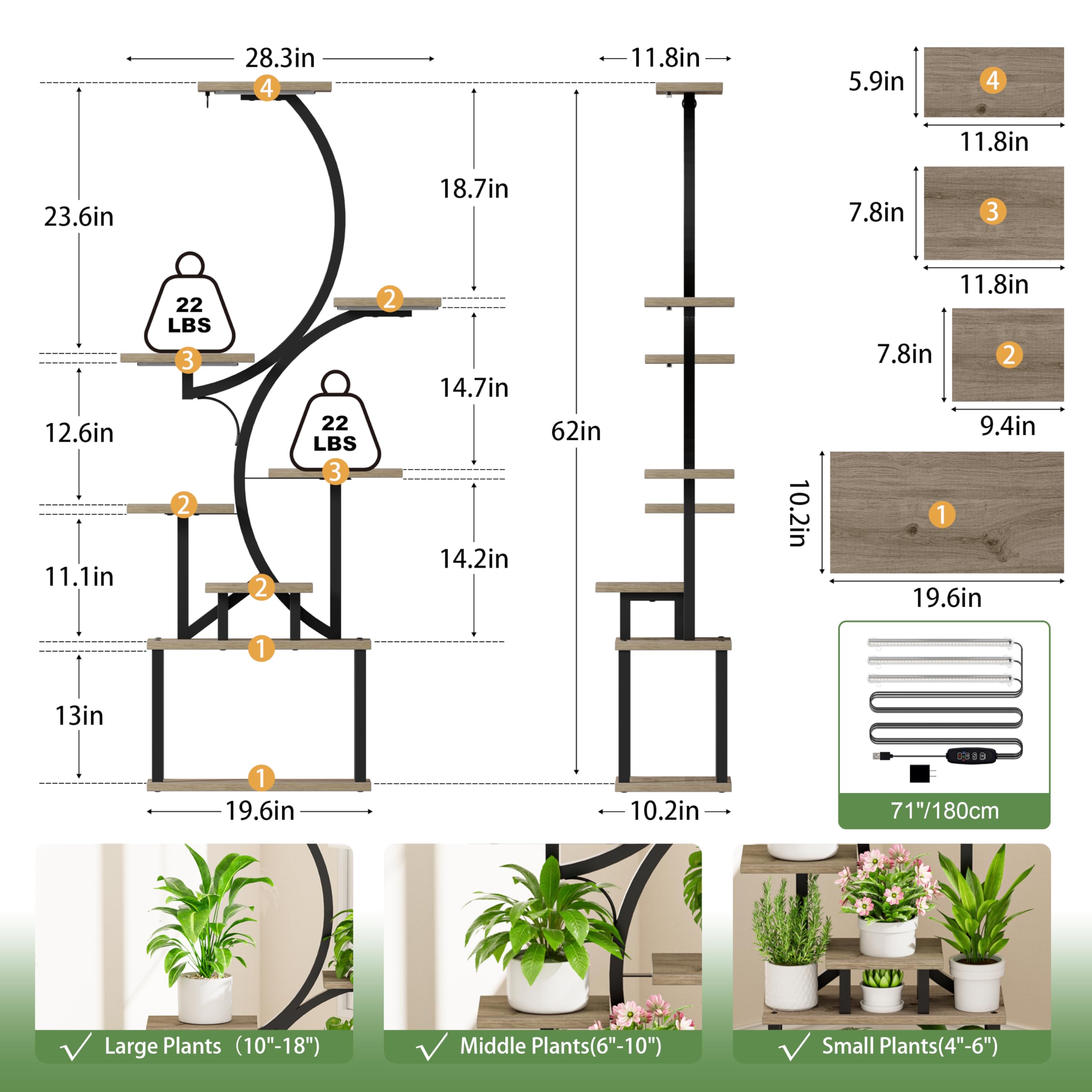 BACEKOLL styled in corner living room adding vertical greenery and decor