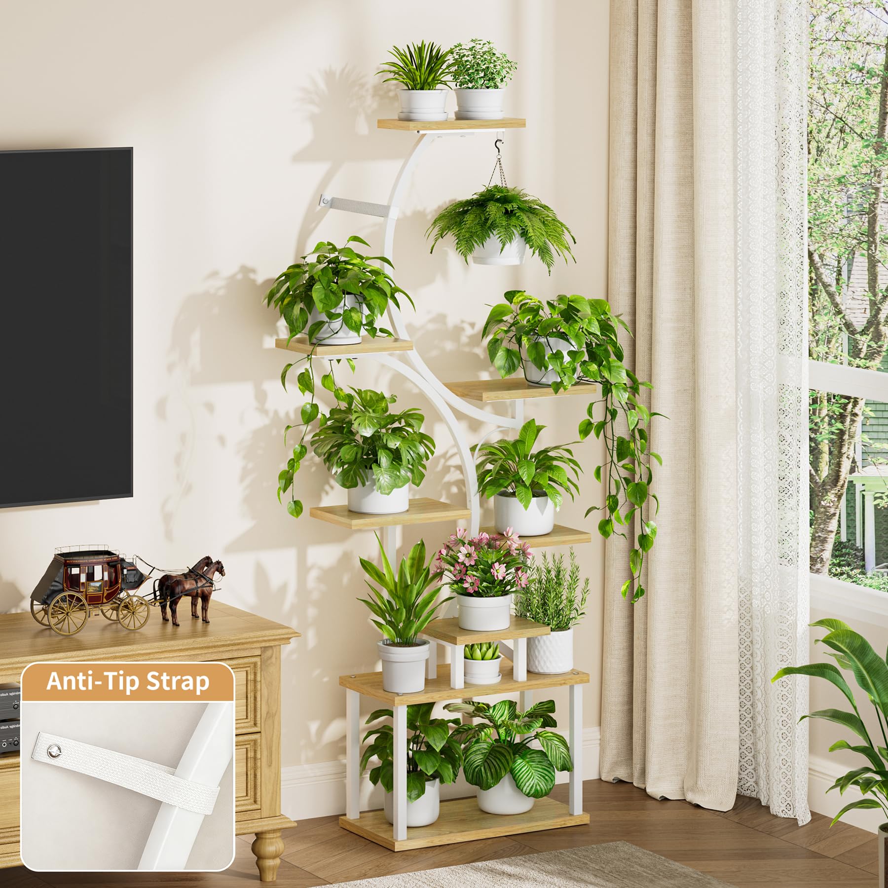 BACEKOLL lifestyle scene in living room illustrating decorative indoor garden benefit
