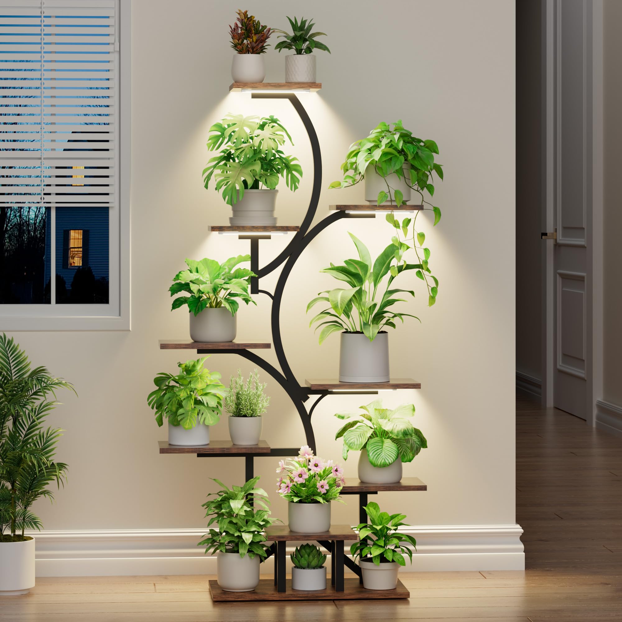 BACEKOLL plants on stand in living room demonstrating decorative appeal