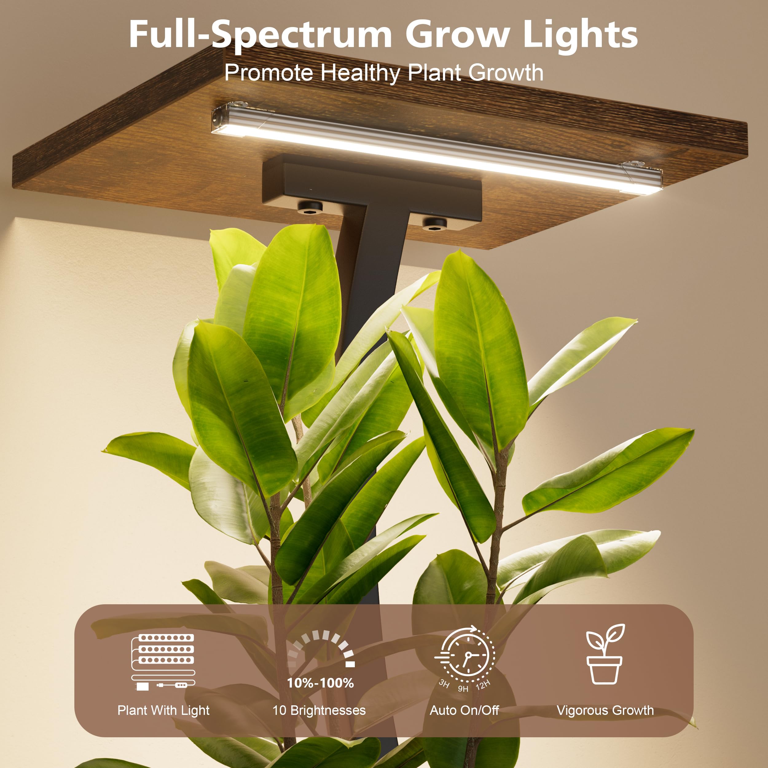 BACEKOLL vine-shaped frame profile adding decorative organic elegance