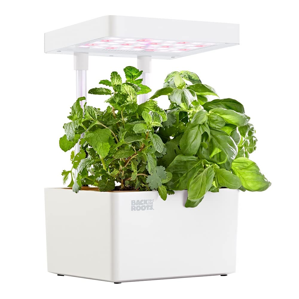 Back to the Roots front packaging showing complete 3‑pod hydroponic kit and benefits