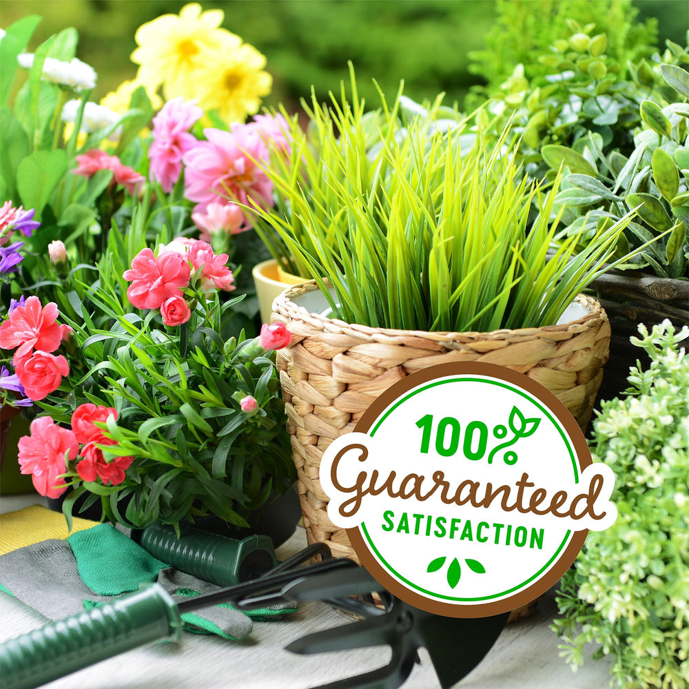 Back to the Roots incorporated into a garden bed improving aeration