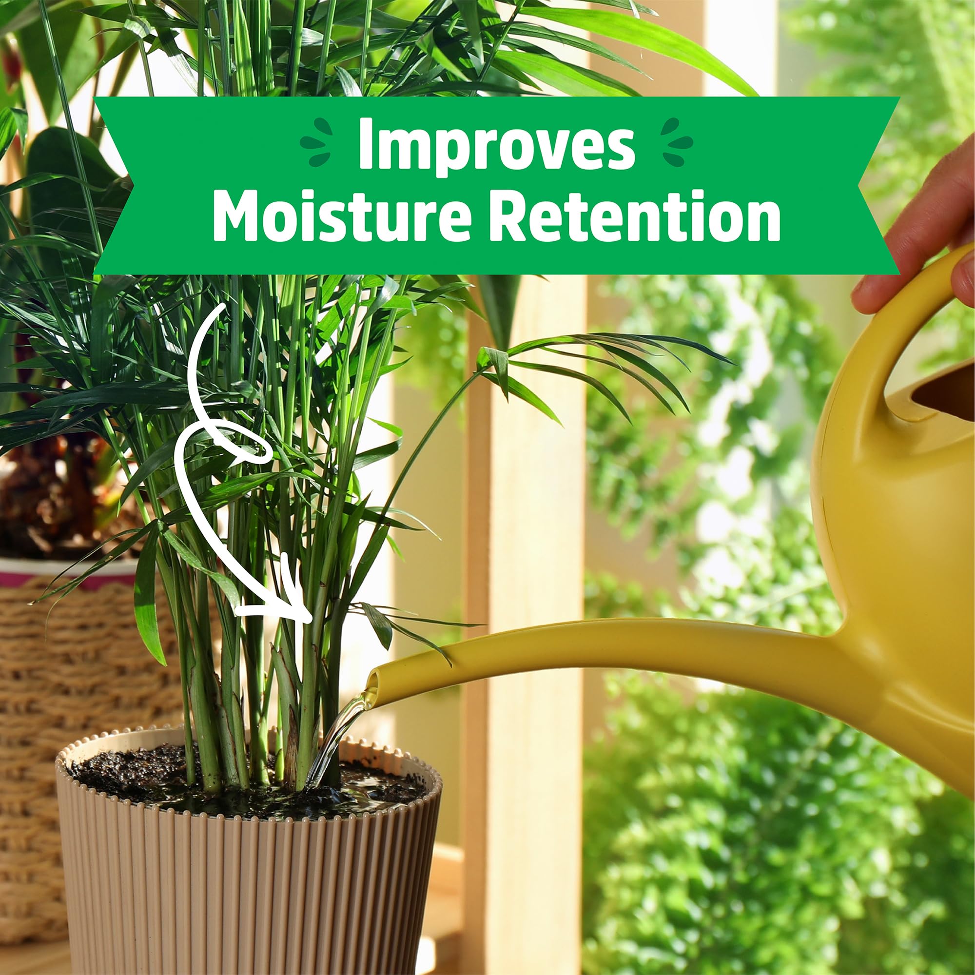 Back to the Roots used in seed-starting trays promoting even germination
