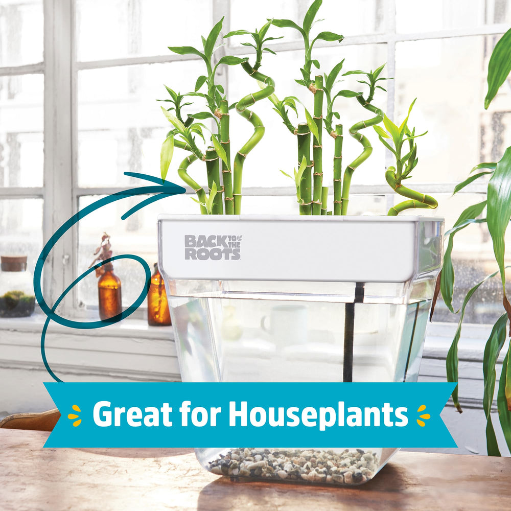 Back to the Roots close-up of removable planting tray and grow medium, easy-planting benefit