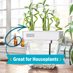 Back to the Roots close-up of removable planting tray and grow medium, easy-planting benefit