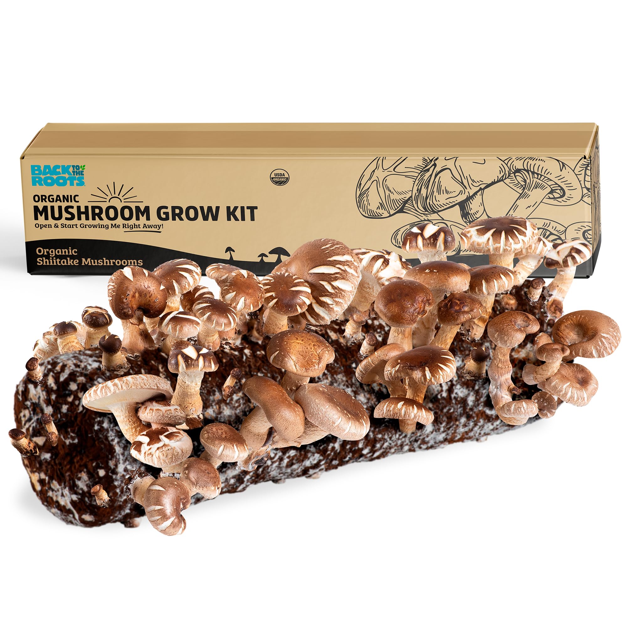 Back to the Roots front packaging showing organic shiitake kit benefits