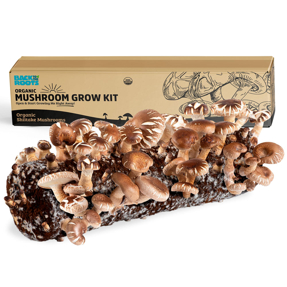 Back to the Roots front packaging showing organic shiitake kit benefits
