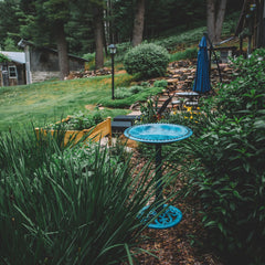 Backyard Expressions close-up of smooth basin surface for easy cleaning