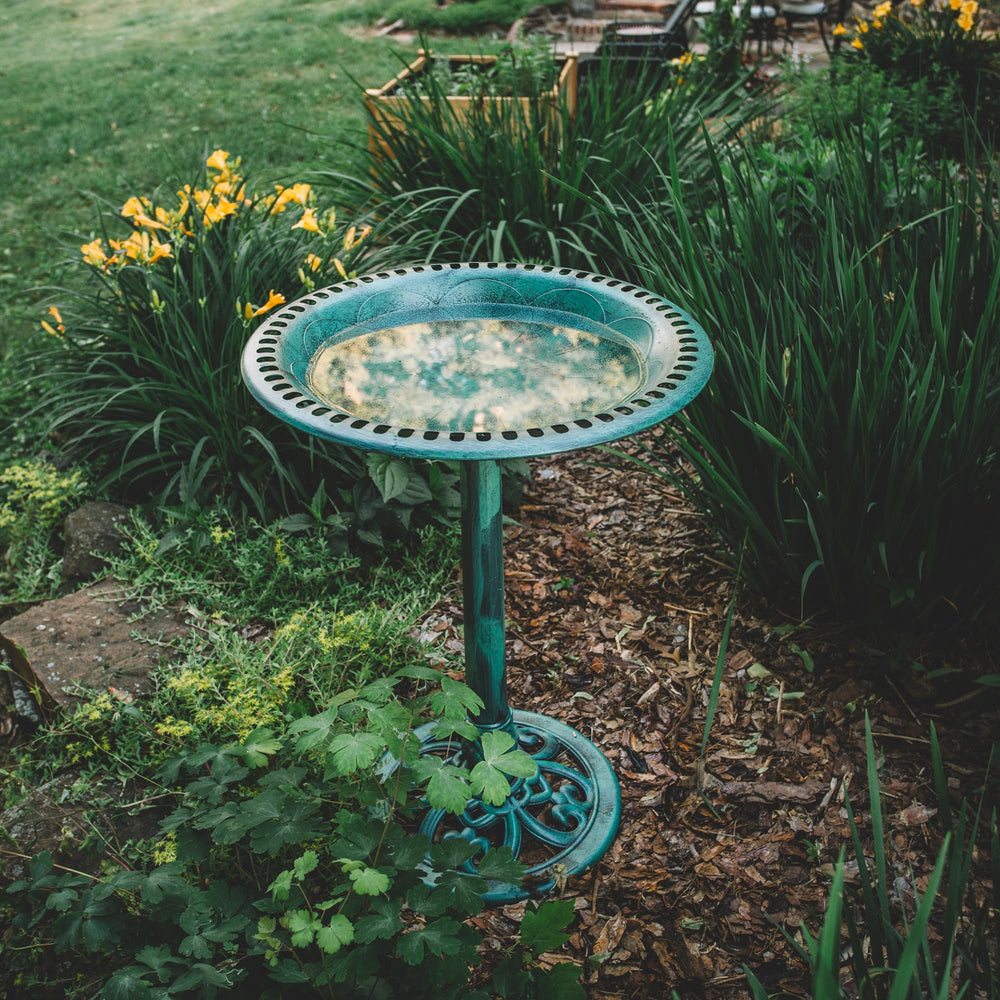 Backyard Expressions bird bath placed in garden attracting birds and enhancing yard
