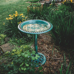 Backyard Expressions bird bath placed in garden attracting birds and enhancing yard