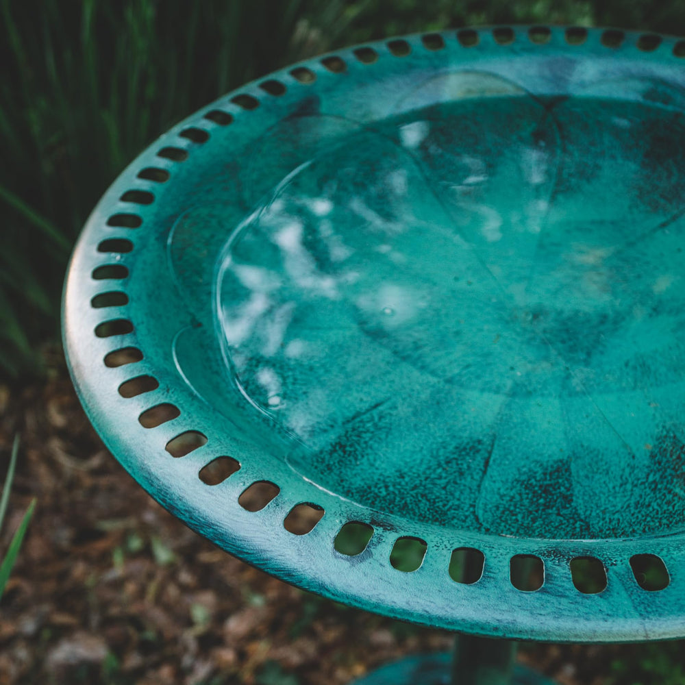 Backyard Expressions green finish and label detail highlighting weather-resistant coating