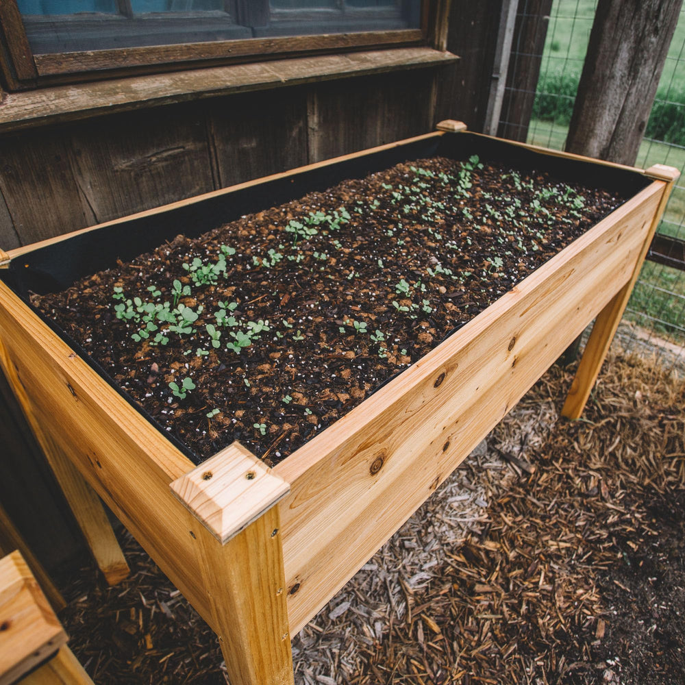 Backyard Expressions planter in use with herbs planted showing efficient space use