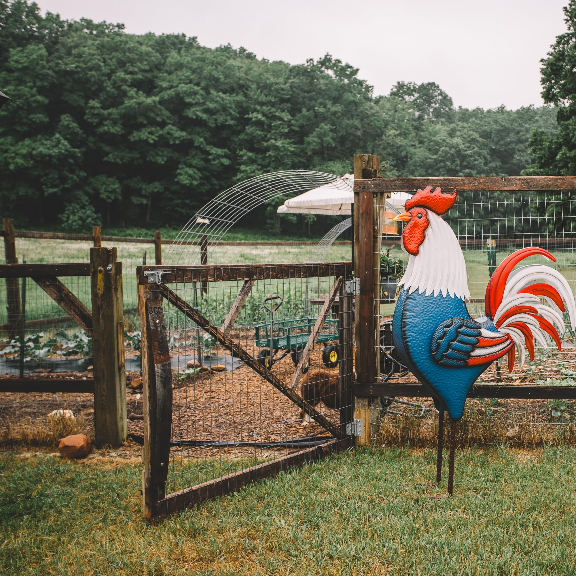 Backyard Expressions rooster placed in garden illustrating outdoor styling benefit