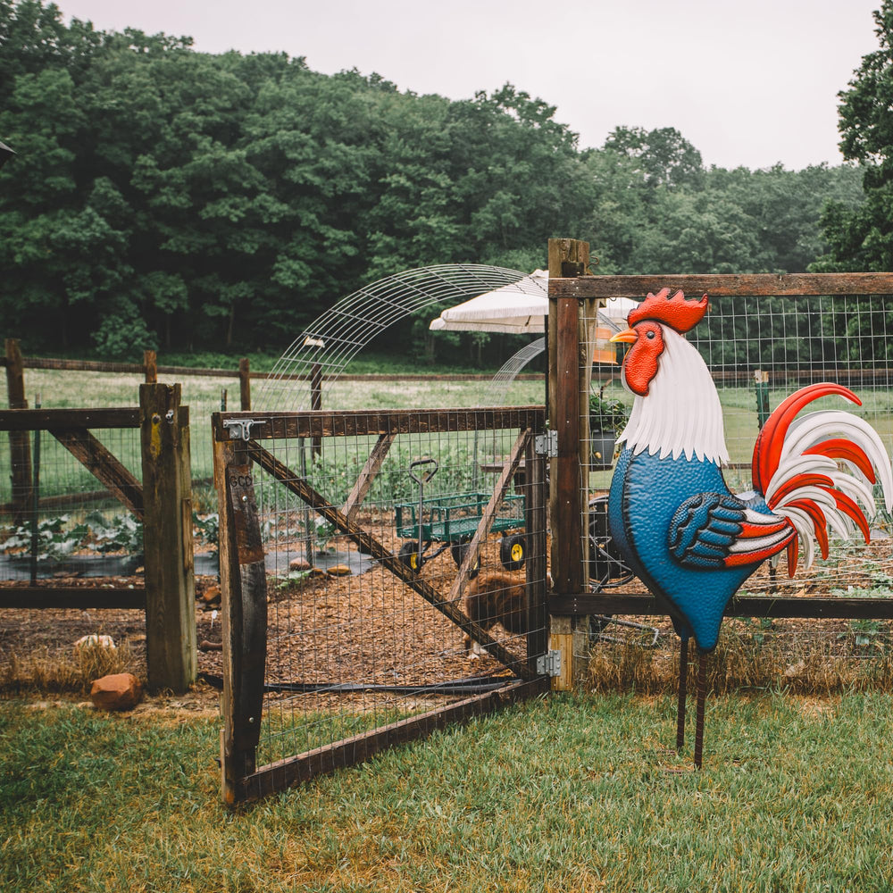 Backyard Expressions rooster placed in garden illustrating outdoor styling benefit