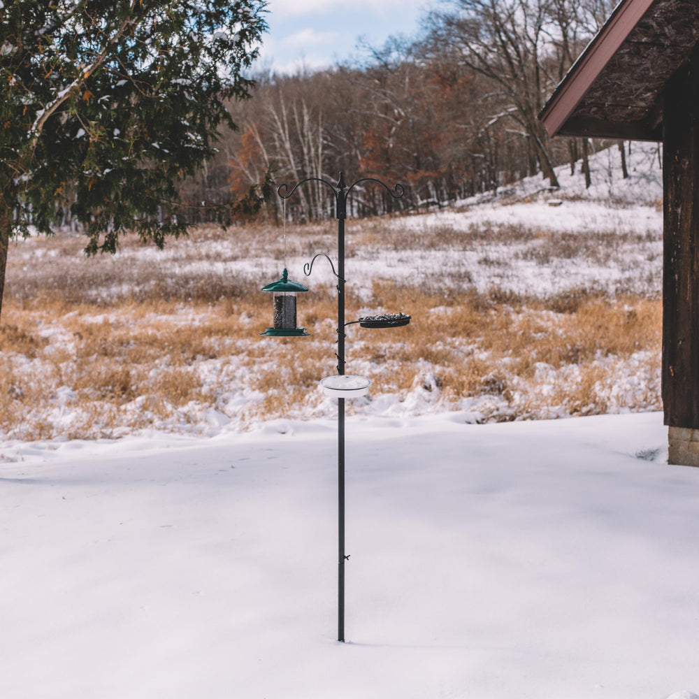 Backyard Expressions three adjustable hooks holding multiple feeders for species variety