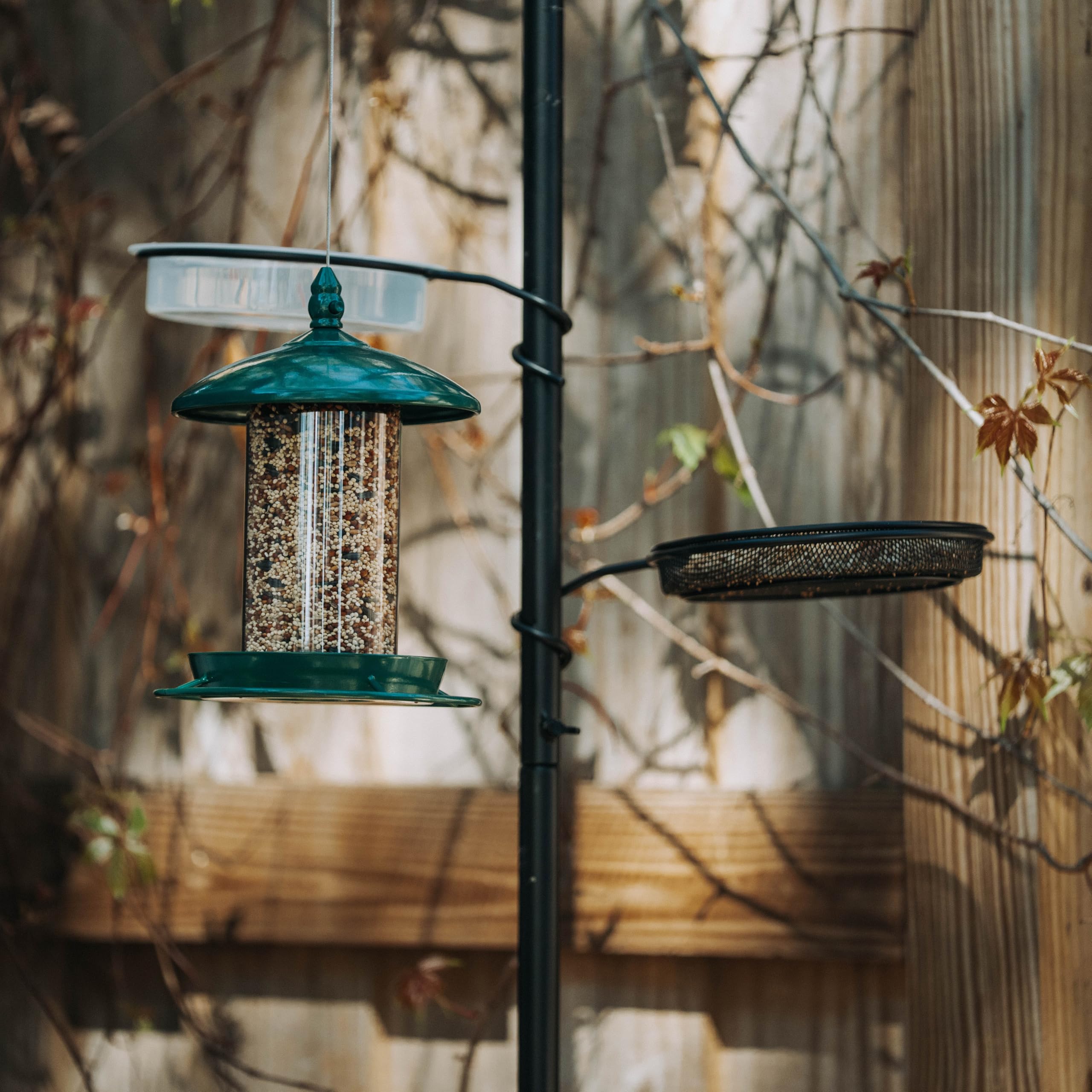 Backyard Expressions close-up of wire mesh tray holding mixed seed for varied bird diets