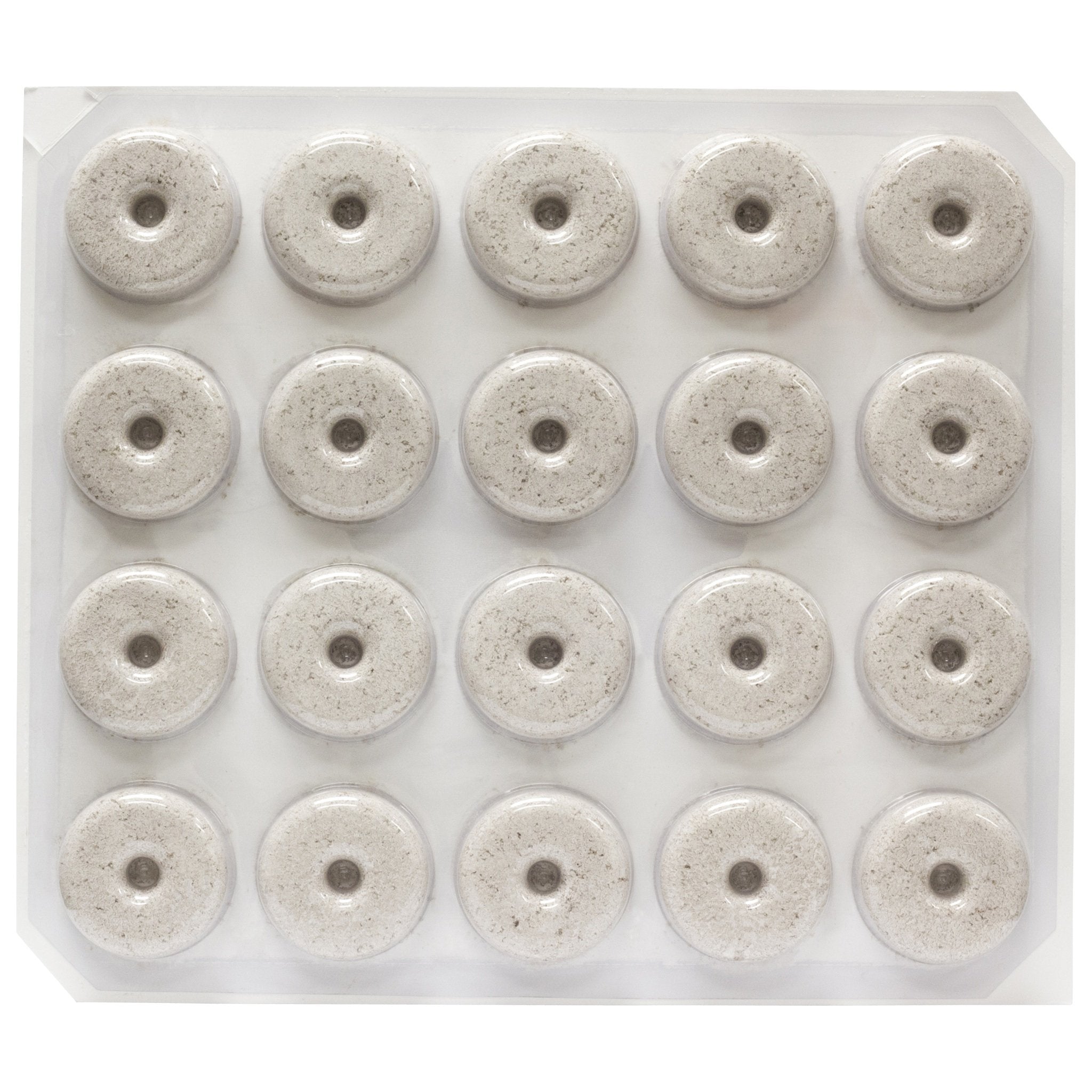 Bactimos dunk floating on bird bath showing easy larvicide placement and protection