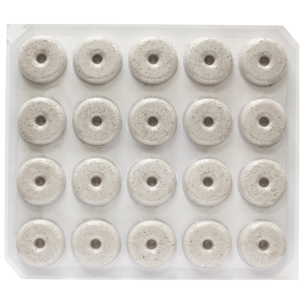 Bactimos dunk floating on bird bath showing easy larvicide placement and protection