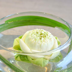 Baderke bowl with water lily in use showing visible roots benefit