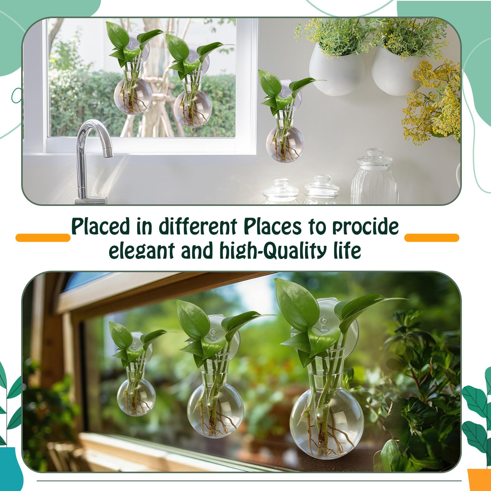 baderke bulb display on sunny window highlighting decorative small-bulb presentation
